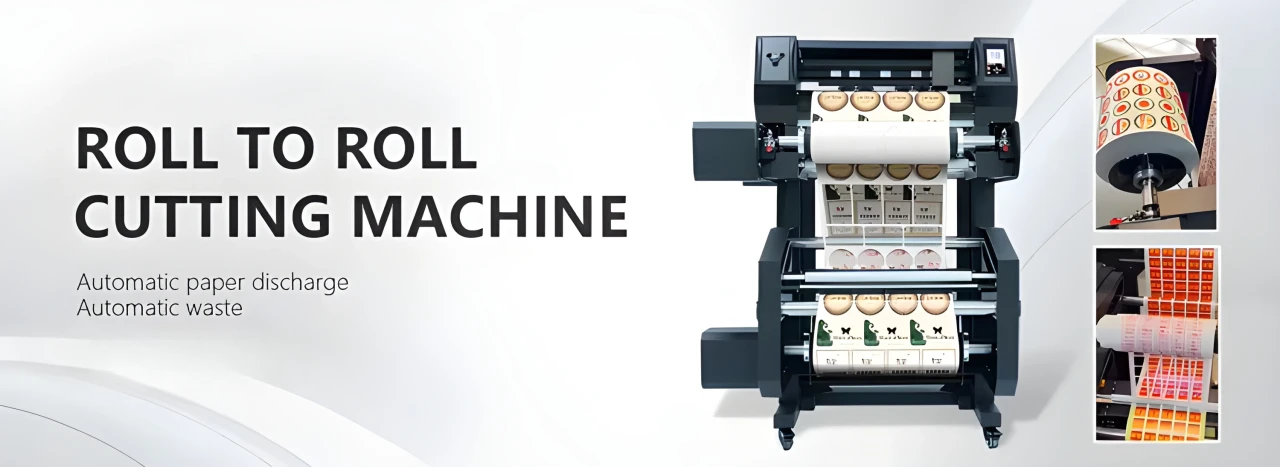 Summer collection background